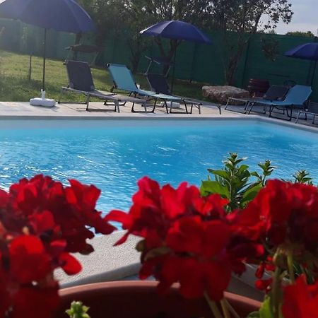 Holiday Home Dioniza Vodnjan Exterior photo