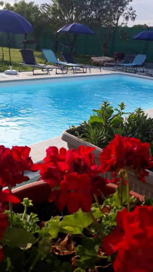 Holiday Home Dioniza Vodnjan Exterior photo